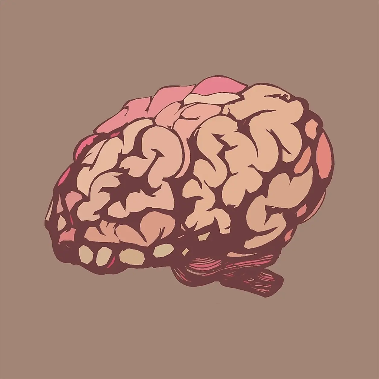 Brain